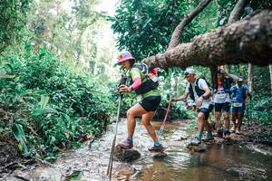 BIB: 
                            <button type="button" onclick="openModal(25373271)" class="btn btn-primary btn-sm float-right btn-popup" data-toggle="modal" data-target=".modal-high-quality">
                        <i class="fas fa-shopping-cart"></i> Add to Cart
                    </button>
                                            <button type="button" onclick="isThisMe(25373271, true)" class="btn btn-success btn-sm float-right btn-popup btn-isme hidden" data-toggle="tooltip" data-placement="bottom" title="นี่คือรูปของคุณใช่ไหม คลิกที่นี่เพื่อเอาเข้าอัลบั้ม">
                        <i class="fas fa-plus"></i> Add to album
                    </button>
                    <button type="button" onclick="isThisMe(25373271, false)" class="btn btn-warning btn-sm float-right btn-popup btn-isnotme hidden">
                        <i class="fas fa-ban"></i> Remove from album
                    </button>